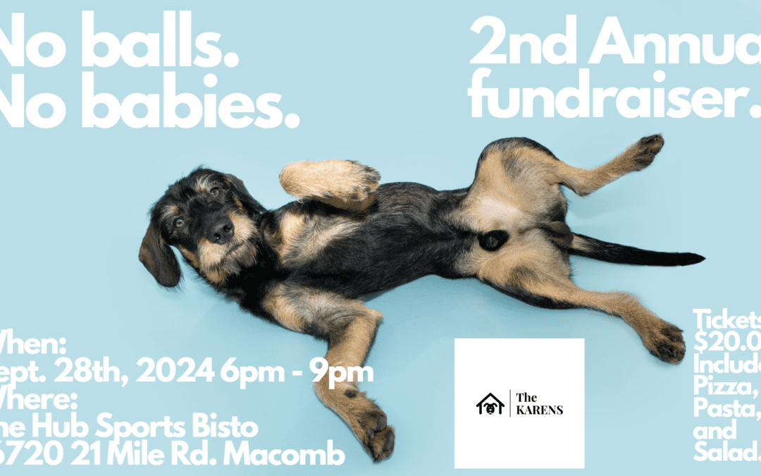 No balls. No babies. 2nd Annual fundraiser.